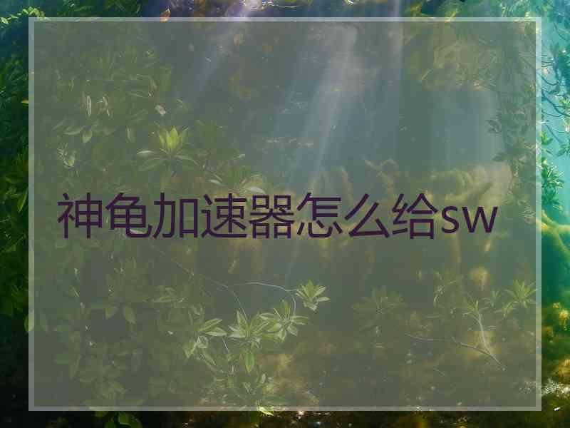 神龟加速器怎么给sw