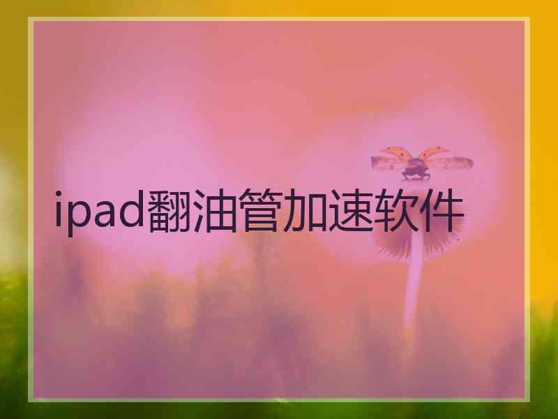 ipad翻油管加速软件