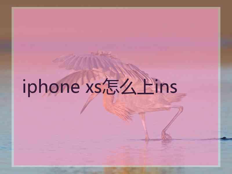 iphone xs怎么上ins