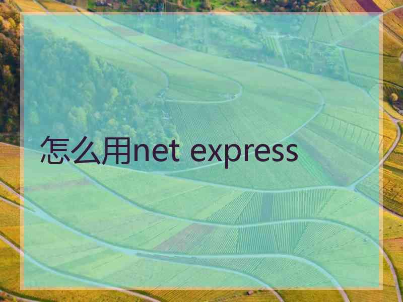 怎么用net express