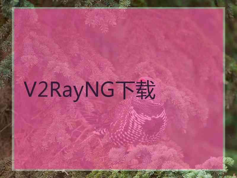 V2RayNG下载