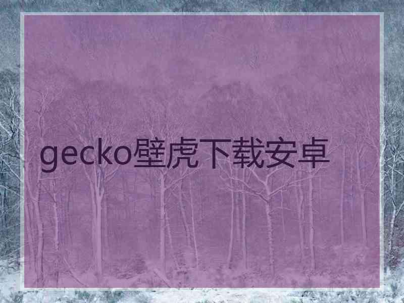 gecko壁虎下载安卓