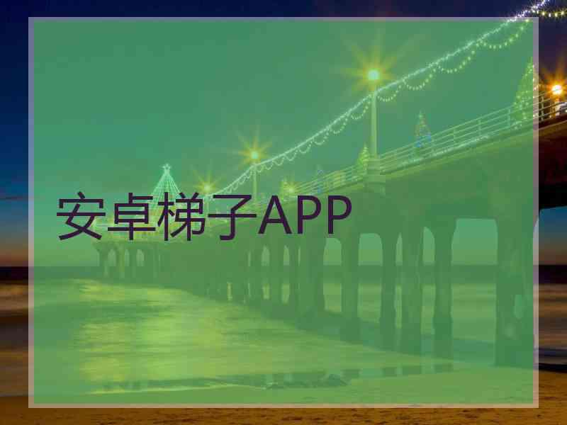 安卓梯子APP