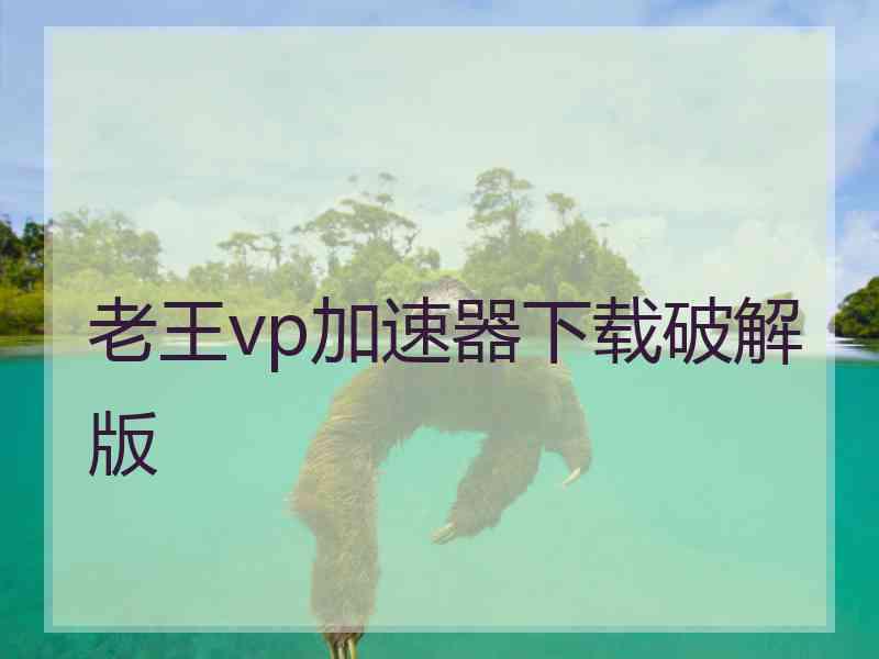 老王vp加速器下载破解版