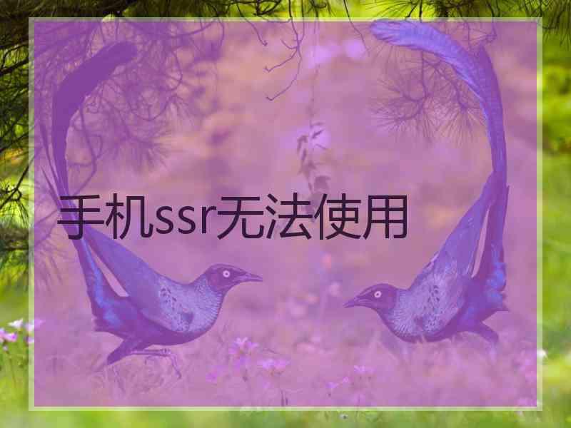 手机ssr无法使用