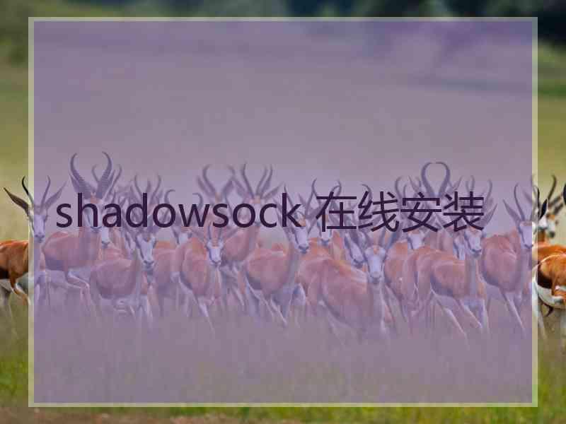 shadowsock 在线安装