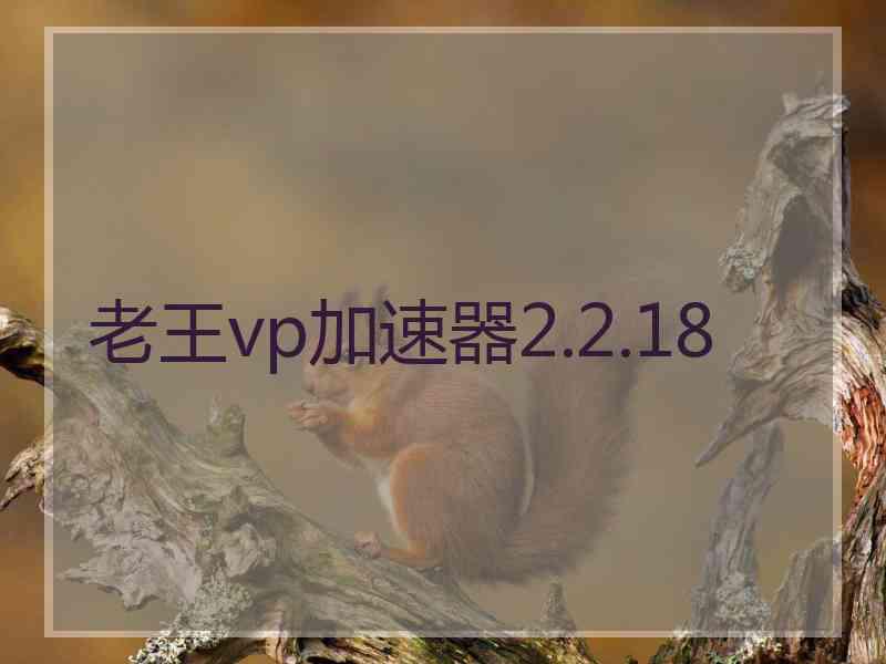 老王vp加速器2.2.18