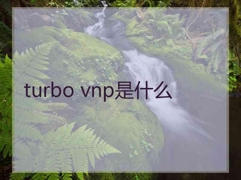 turbo vnp是什么