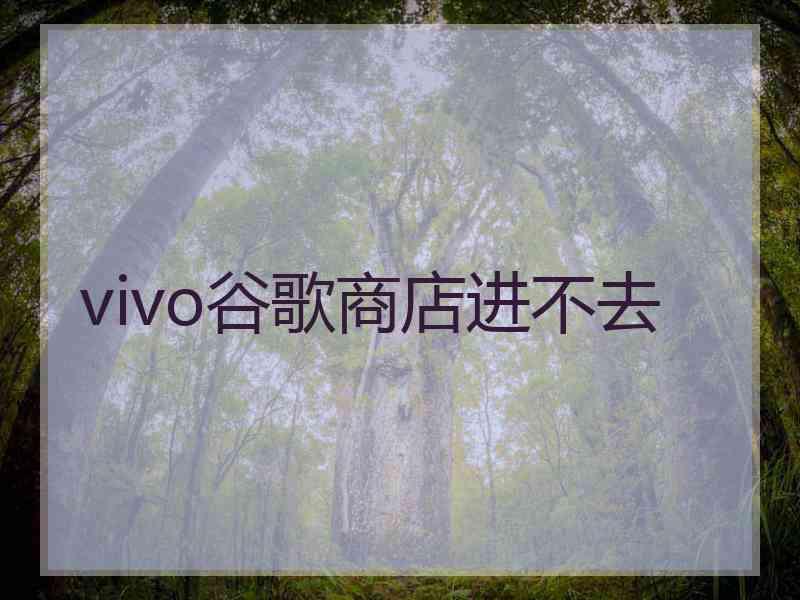 vivo谷歌商店进不去