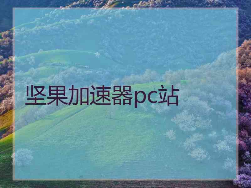 坚果加速器pc站