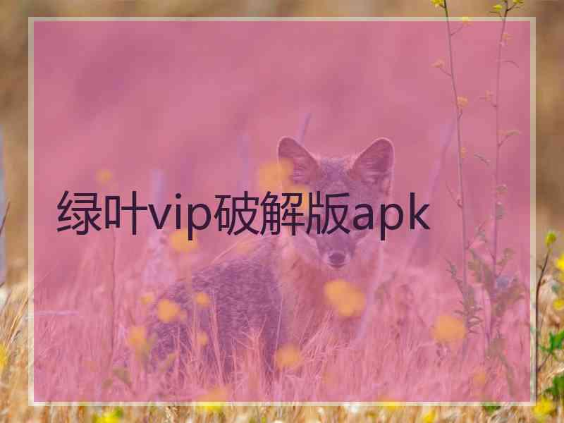 绿叶vip破解版apk