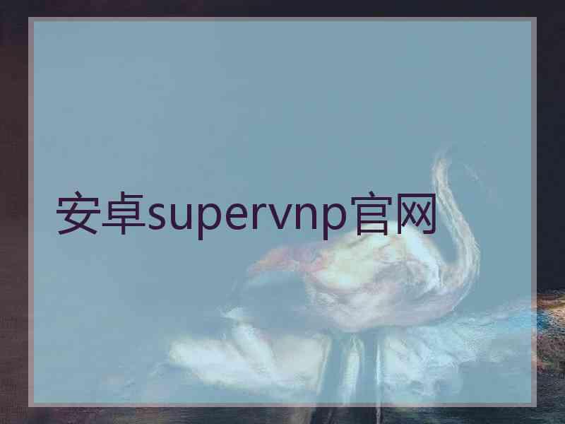 安卓supervnp官网