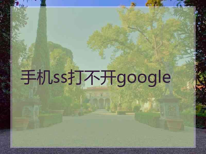 手机ss打不开google