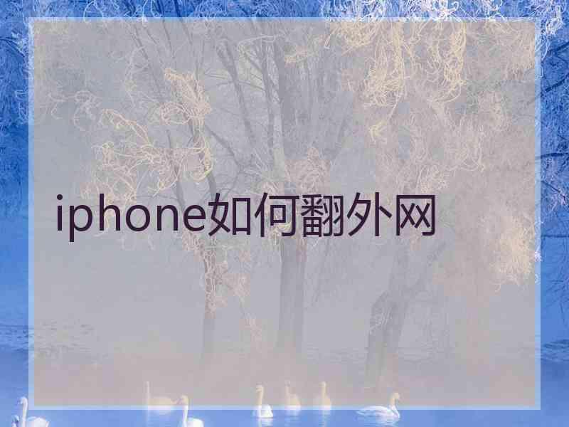 iphone如何翻外网