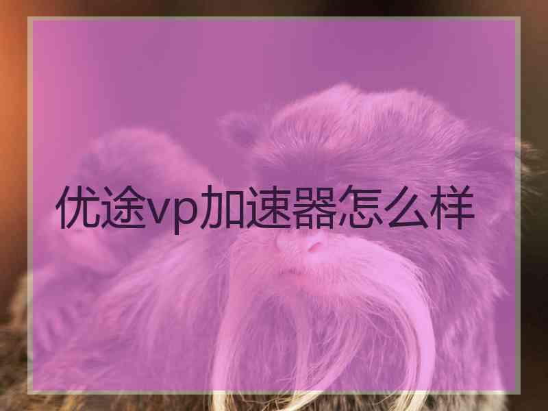 优途vp加速器怎么样