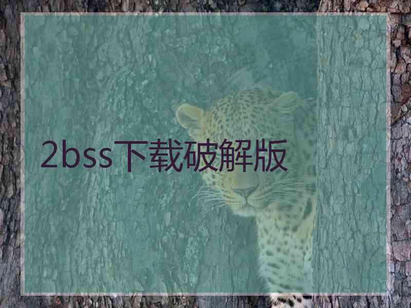 2bss下载破解版