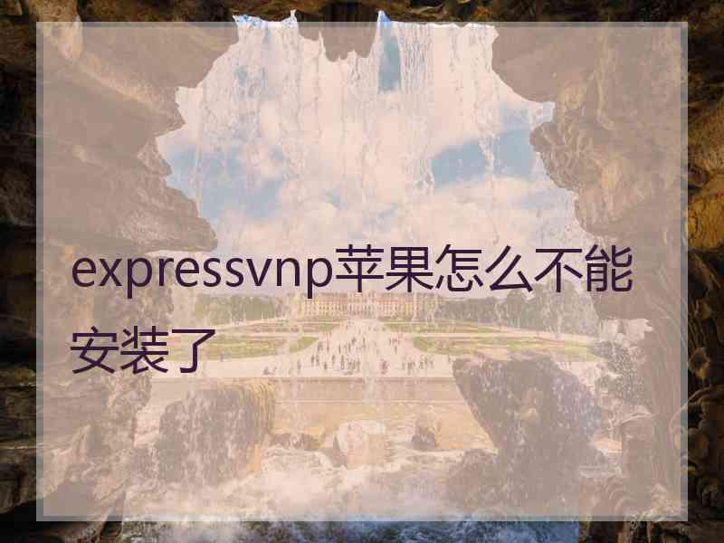 expressvnp苹果怎么不能安装了