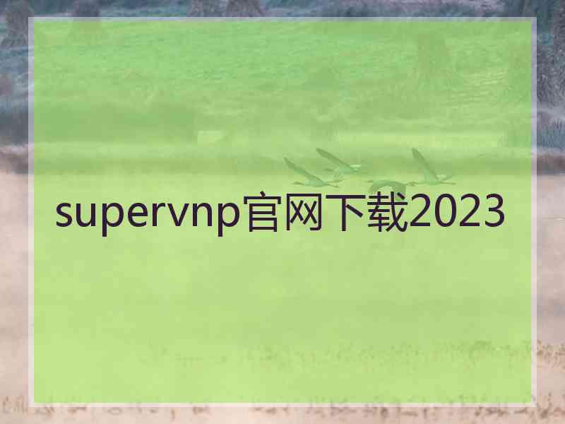 supervnp官网下载2023