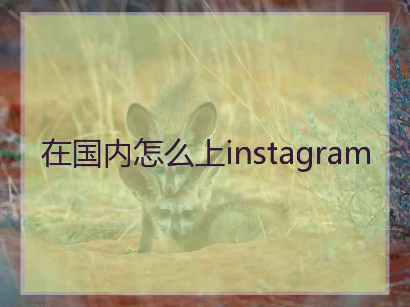 在国内怎么上instagram