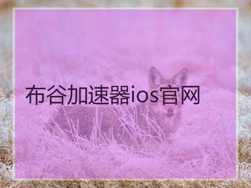 布谷加速器ios官网