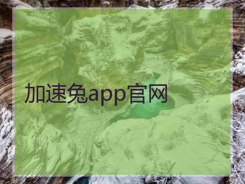 加速兔app官网