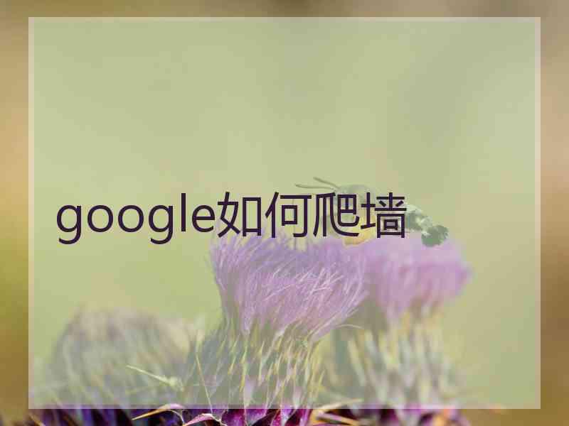 google如何爬墙