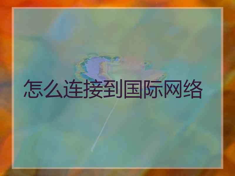 怎么连接到国际网络