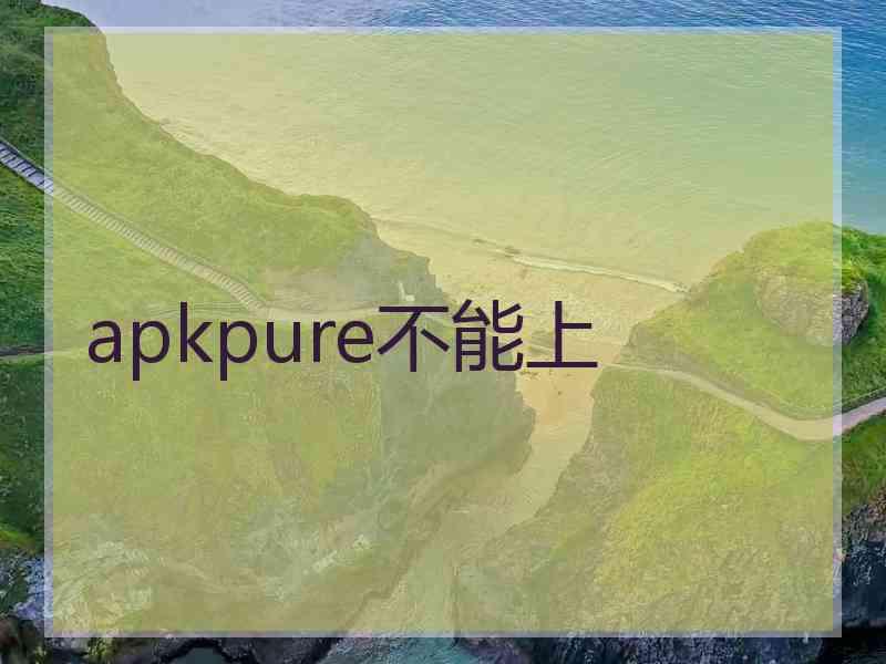 apkpure不能上