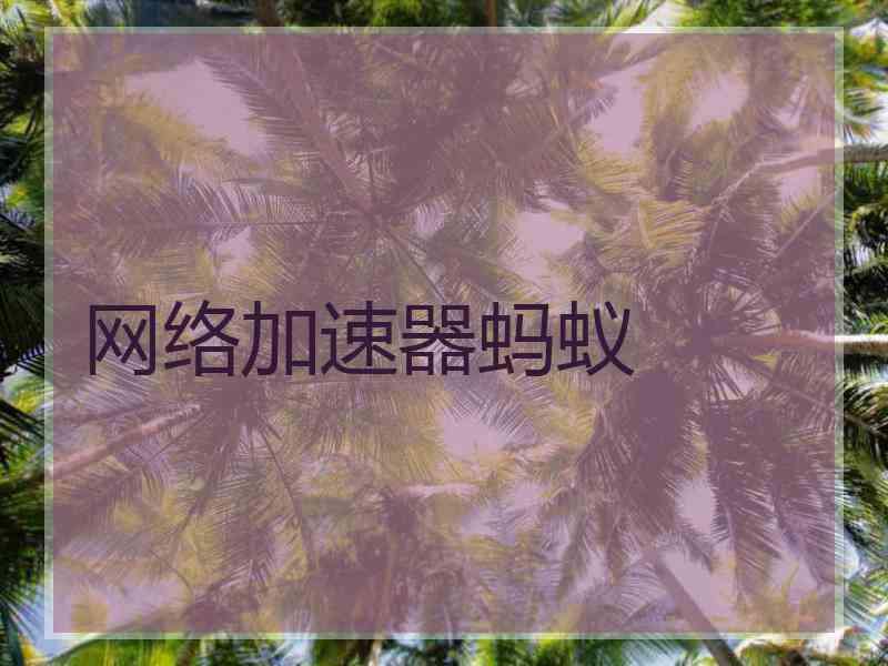 网络加速器蚂蚁