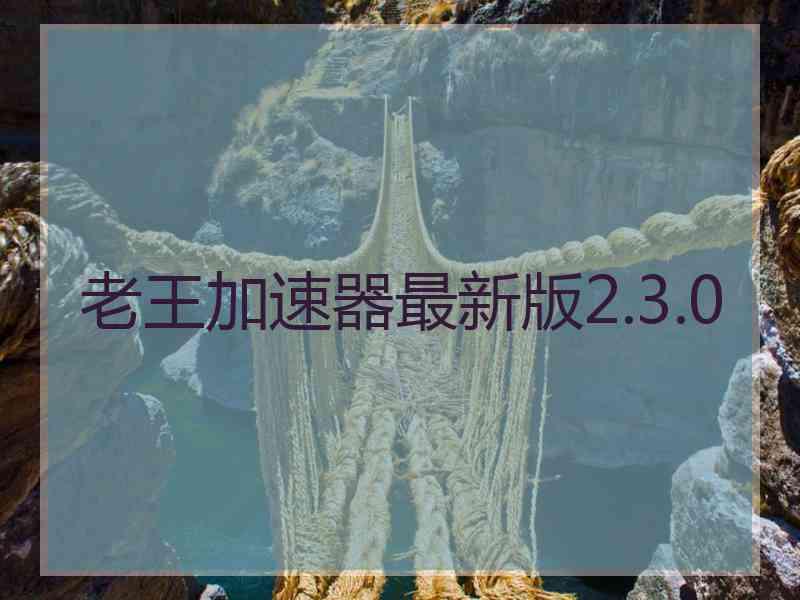 老王加速器最新版2.3.0