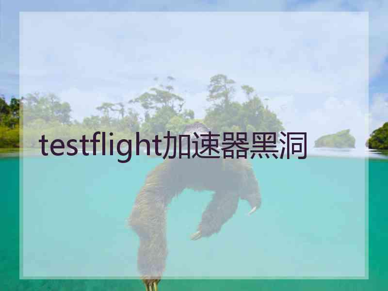 testflight加速器黑洞