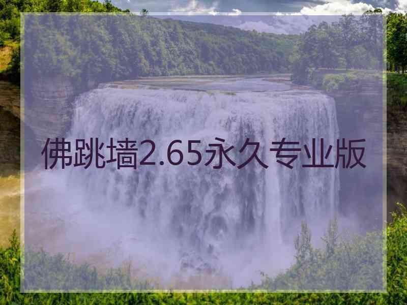 佛跳墙2.65永久专业版