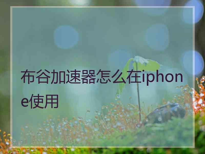 布谷加速器怎么在iphone使用