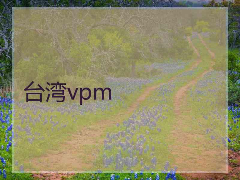 台湾vpm