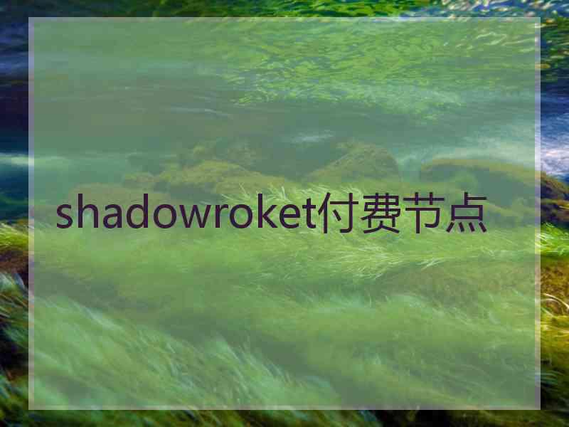 shadowroket付费节点