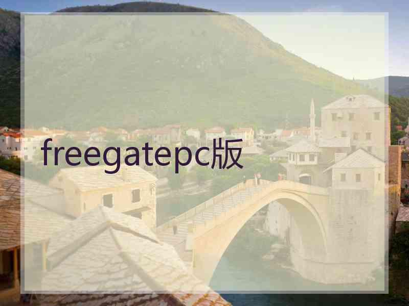 freegatepc版