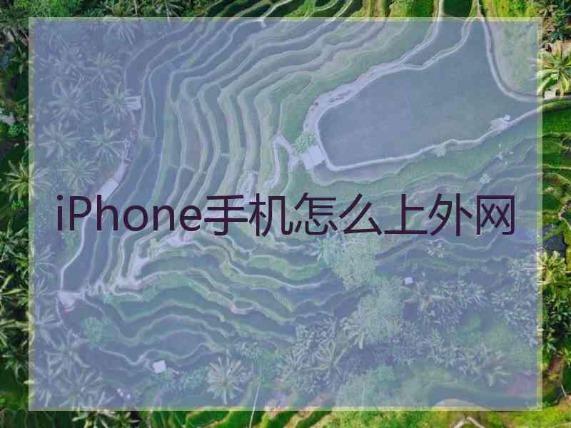 iPhone手机怎么上外网