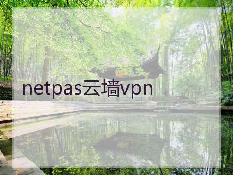 netpas云墙vpn