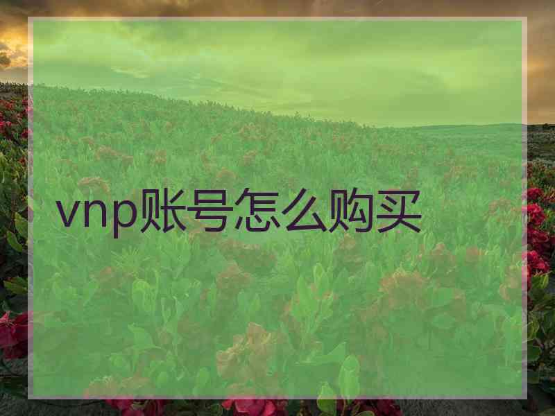 vnp账号怎么购买