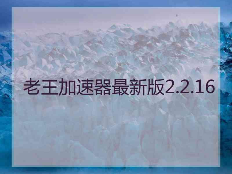 老王加速器最新版2.2.16