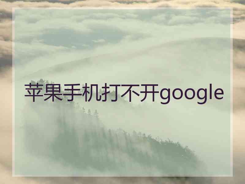 苹果手机打不开google