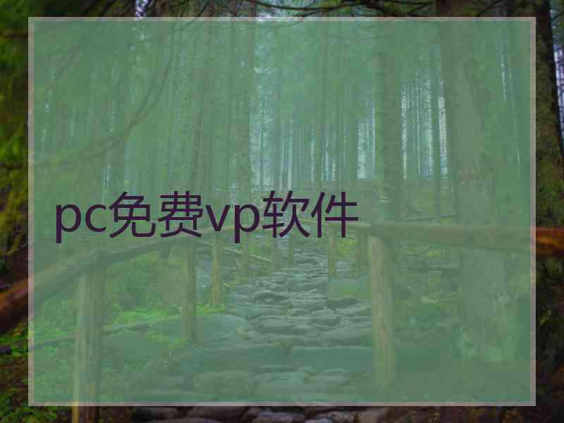 pc免费vp软件