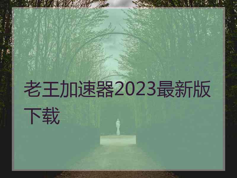 老王加速器2023最新版下载