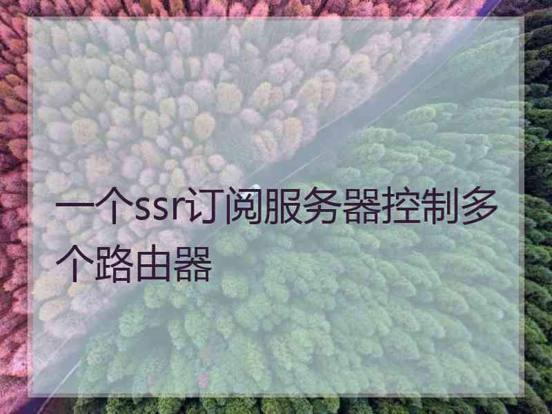 一个ssr订阅服务器控制多个路由器