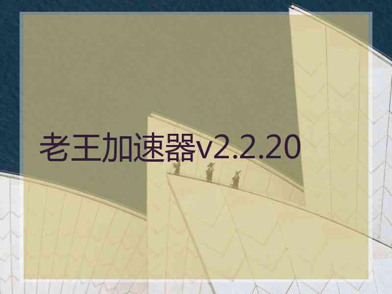 老王加速器v2.2.20