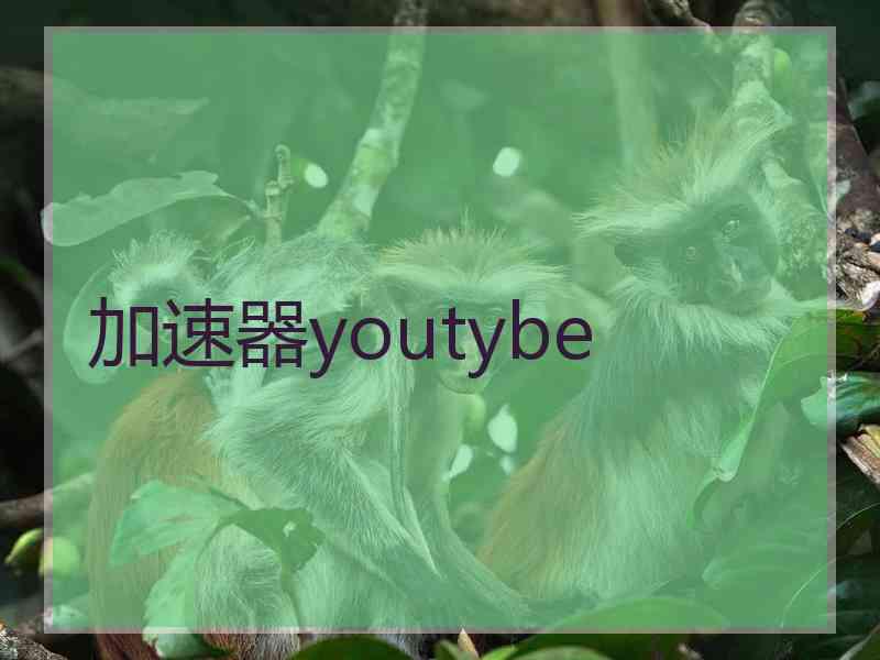 加速器youtybe