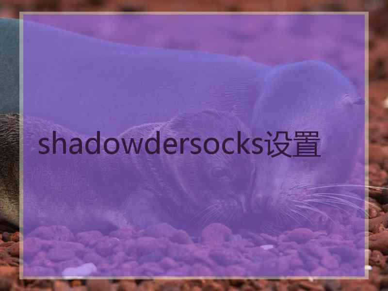 shadowdersocks设置