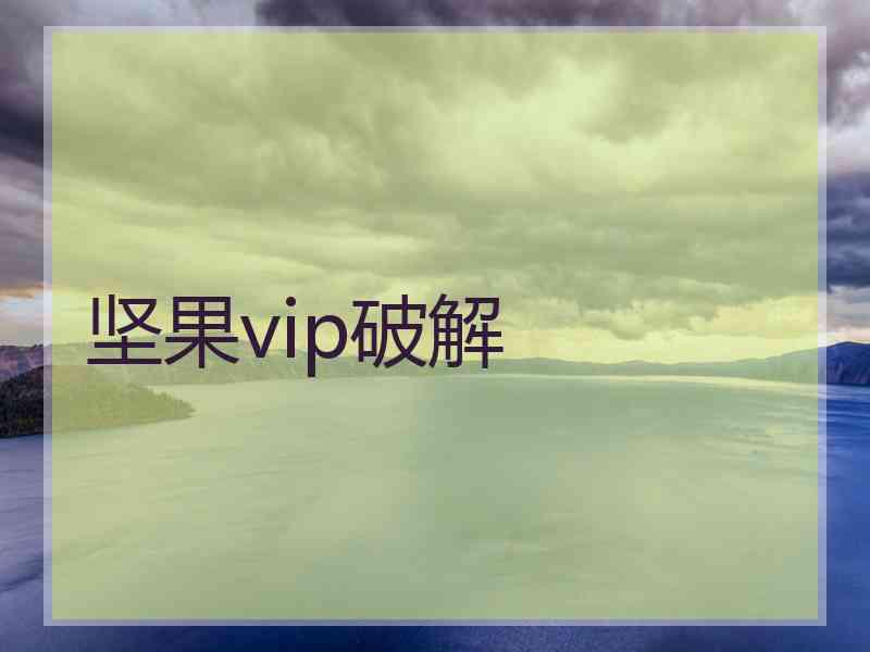 坚果vip破解