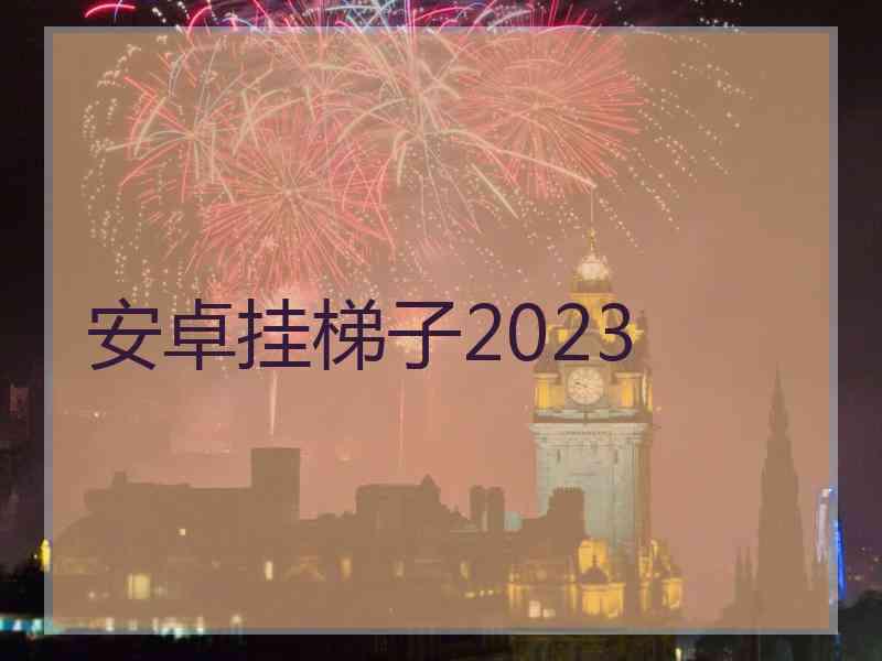 安卓挂梯子2023