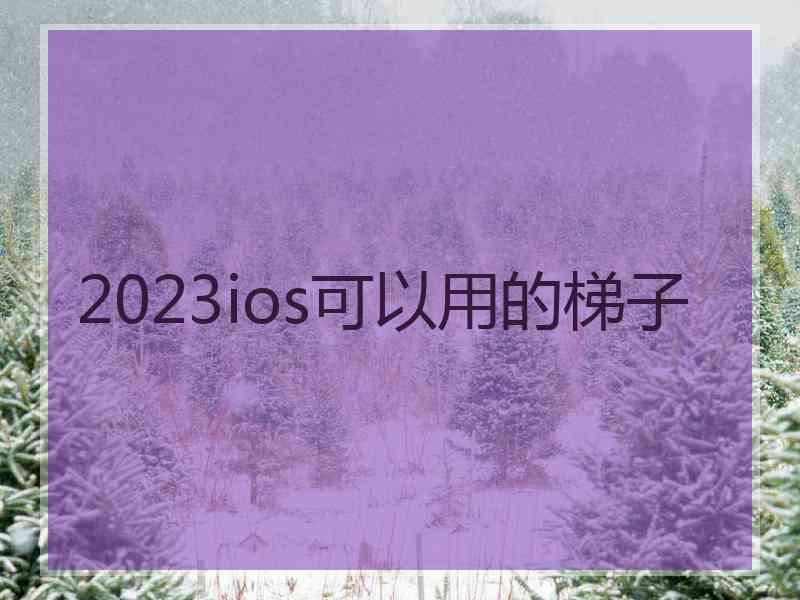 2023ios可以用的梯子